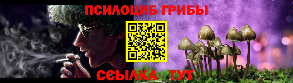 Новоалтайск  Галлюциногенные грибы GOLDEN TEACHER  Вход с VPN 