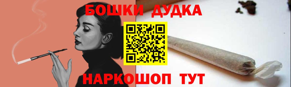 Бошки Шишки планчик Новоалтайск
